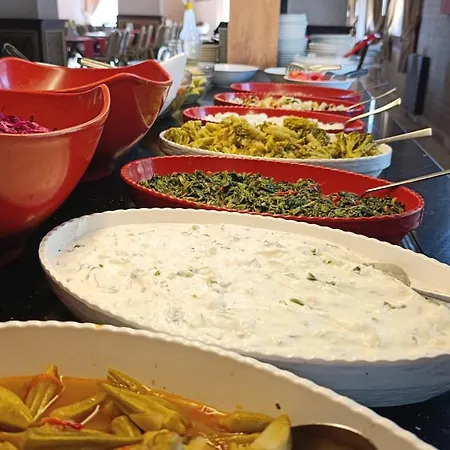 מלון Elitium Thermal&spa 4*