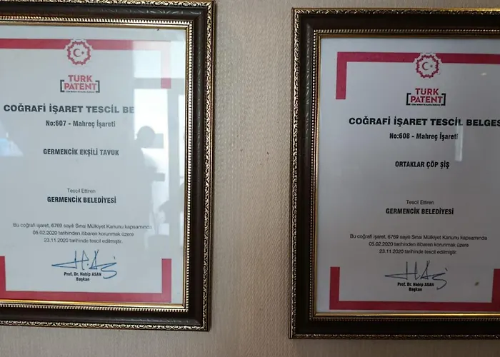 Elitium Thermal&spa ホテル 4*