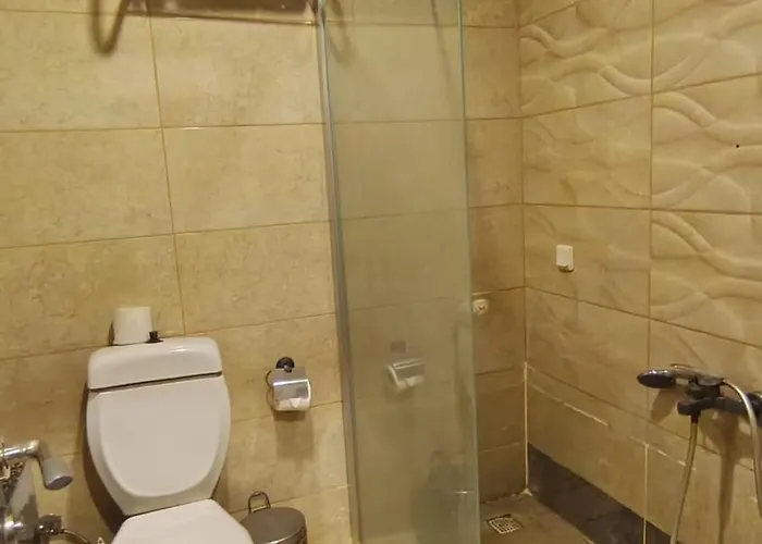 Elitium Thermal&spa 4*