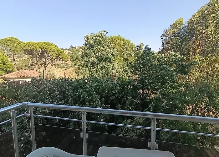 Hotel Elitium Thermal&spa Bozkoy (Germencik)